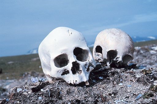 Image: Skulls on a Beach July