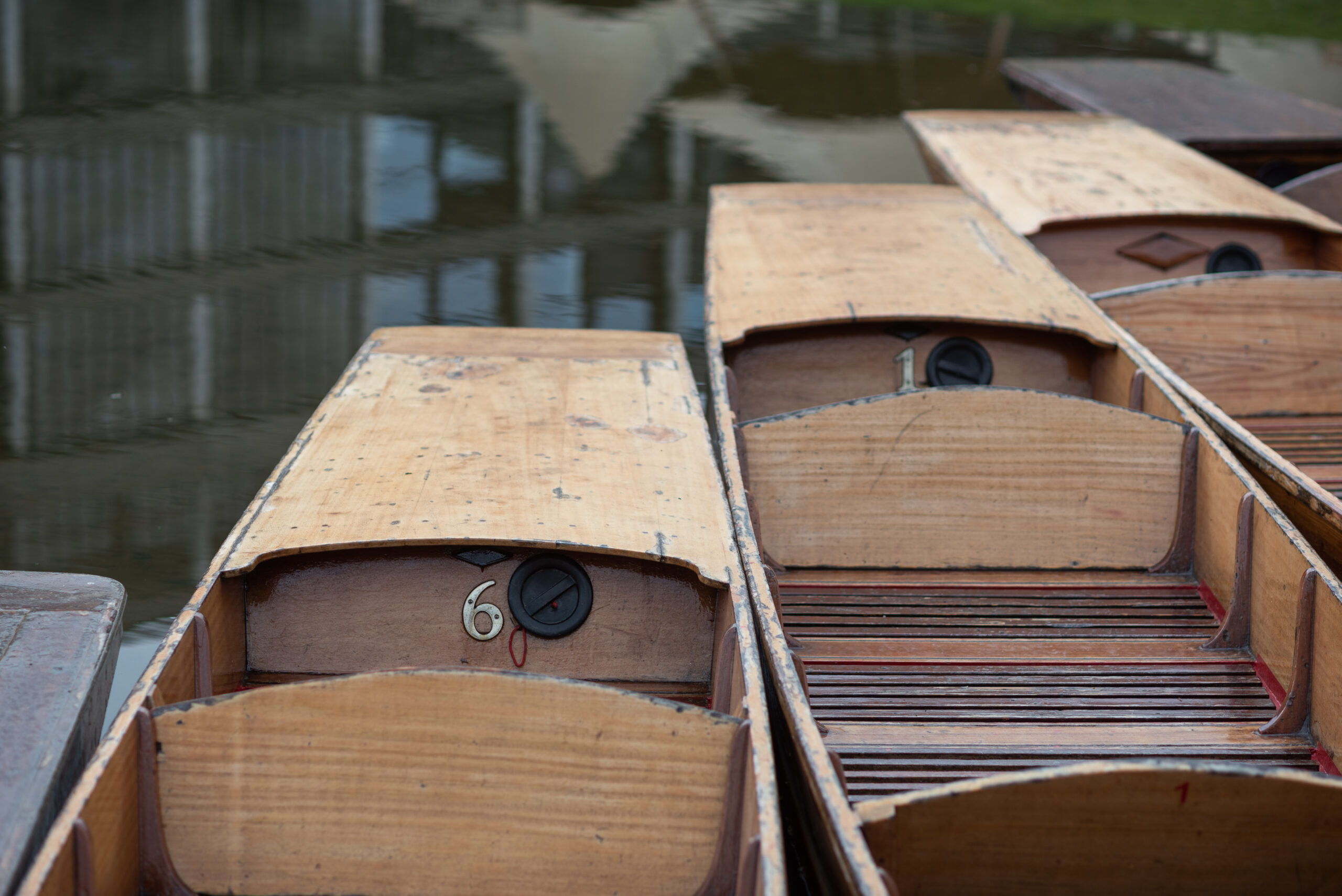 Punts docked in Wolfson's Harbour