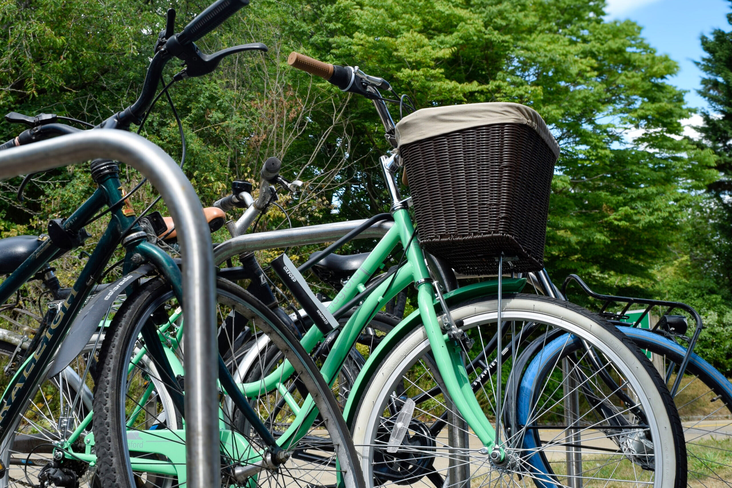 Bicycles parked in front of M Block