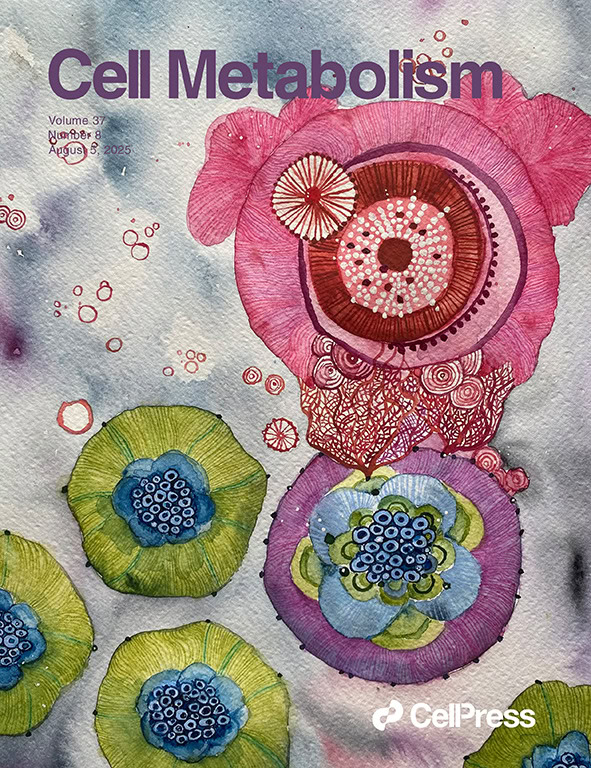 An artistic interpretation of pancreatic alpha cells - shown in magenta -in contact with signal-sensing, lilac-green beta cells