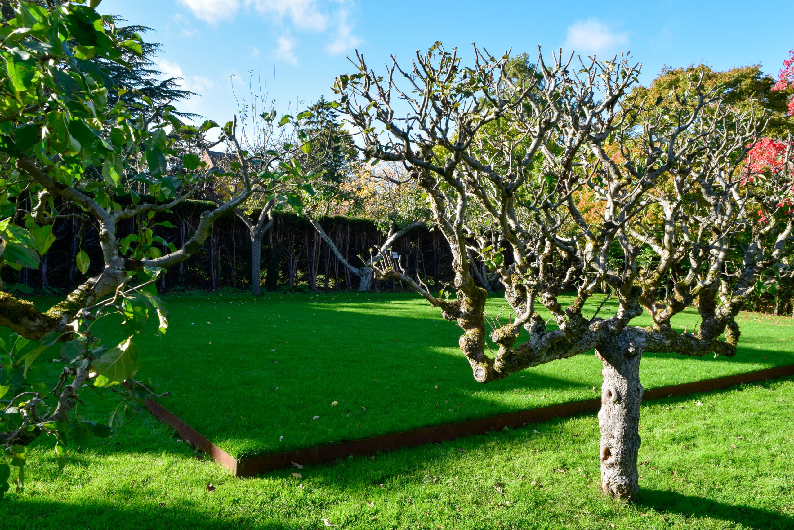 Croquet Lawn in the Bishop's Garden, Wolfson College