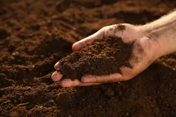 A hand holding brown soil